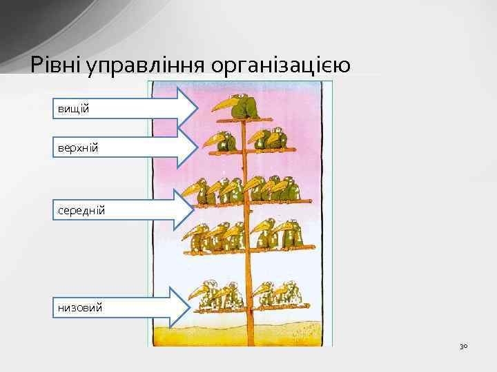 Рівні управління організацією вищій верхній середній низовий 30 