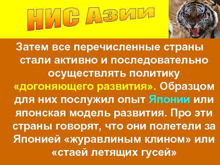 Затем все перечисленные страны стали активно и последовательно осуществлять политику «догоняющего развития» . Образцом