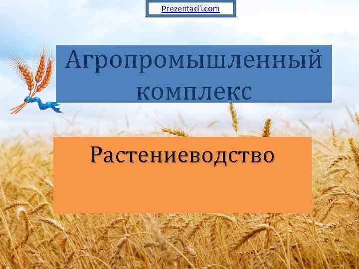 Prezentacii. com Агропромышленный комплекс Растениеводство 