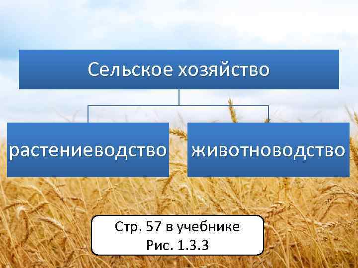 Сельское хозяйство растениеводство животноводство Стр. 57 в учебнике Рис. 1. 3. 3 