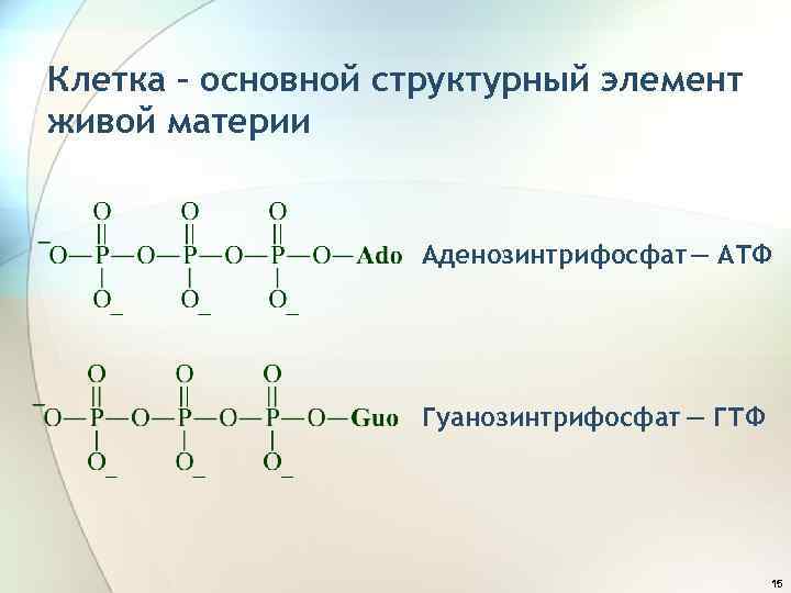 Клетка – основной структурный элемент живой материи Аденозинтрифосфат ― АТФ Гуанозинтрифосфат ― ГТФ 15