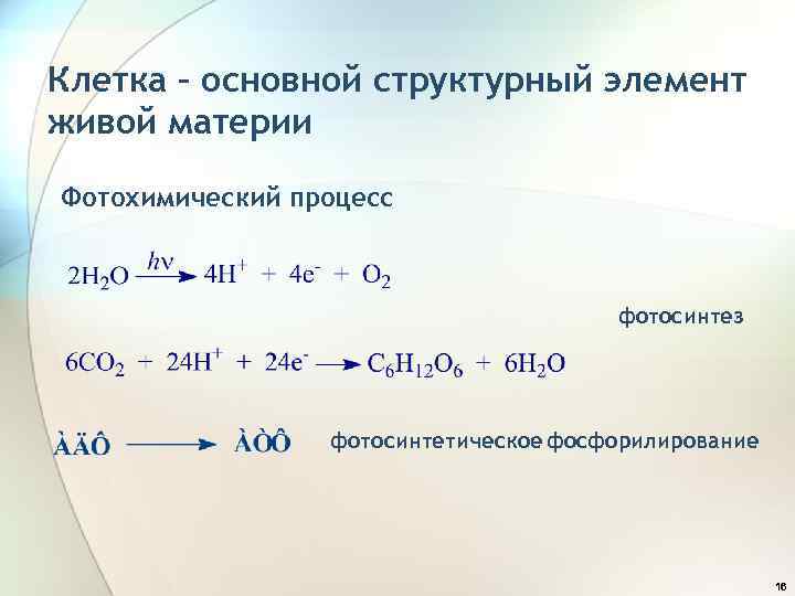 Клетка – основной структурный элемент живой материи Фотохимический процесс фотосинтез фотосинтетическое фосфорилирование 16 