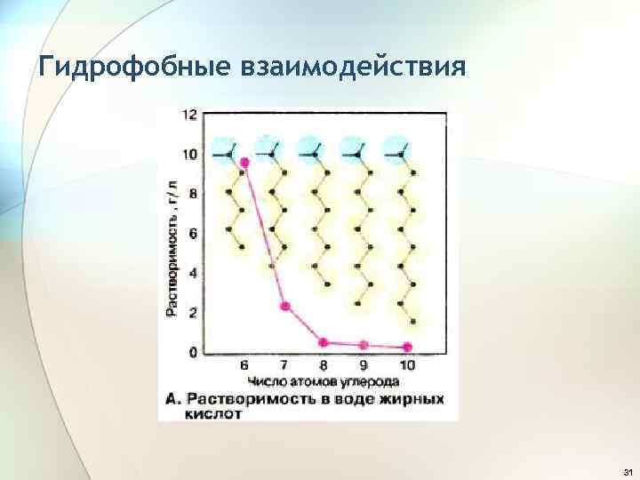 Гидрофобные взаимодействия 31 