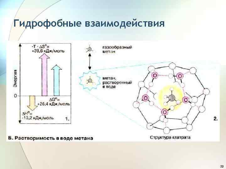 Гидрофобные взаимодействия 32 