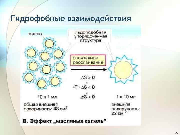 Гидрофобные взаимодействия 33 