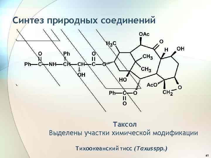 Синтез природных соединений Таксол Выделены участки химической модификации Тихоокеанский тисс (Taxus spp. ) 41