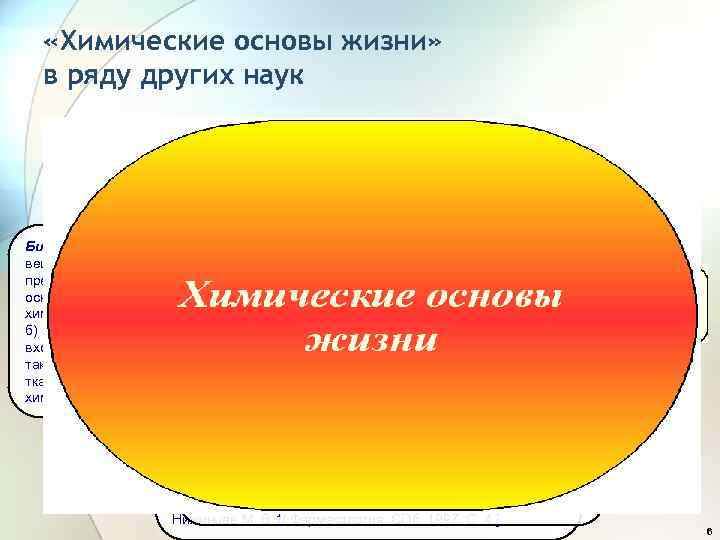  «Химические основы жизни» в ряду других наук Биоорганическая химия изучает строение и Биологическая