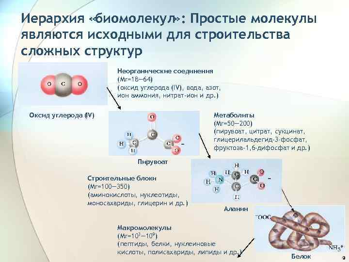 Иерархия «биомолекул» : Простые молекулы являются исходными для строительства сложных структур Неорганические соединения (Mr=18―