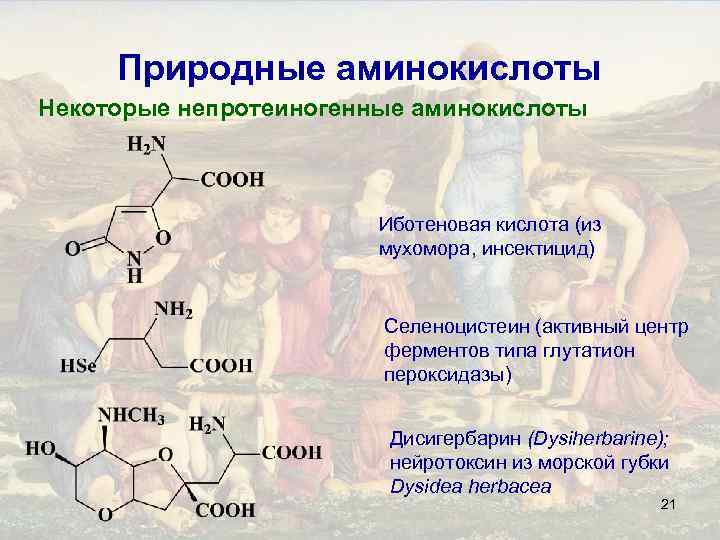 Природные аминокислоты Некоторые непротеиногенные аминокислоты Иботеновая кислота (из мухомора, инсектицид) Селеноцистеин (активный центр ферментов