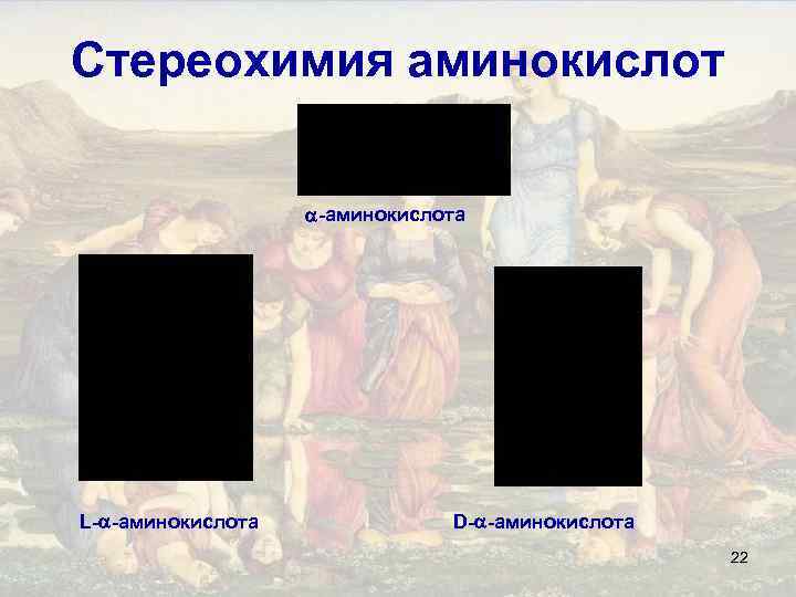 Стереохимия аминокислот -аминокислота L- -аминокислота D- -аминокислота 22 
