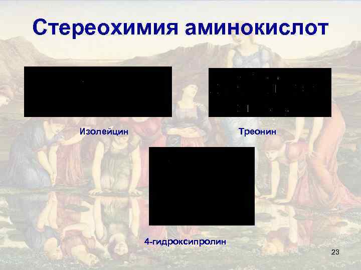 Стереохимия аминокислот Изолейцин Треонин 4 -гидроксипролин 23 