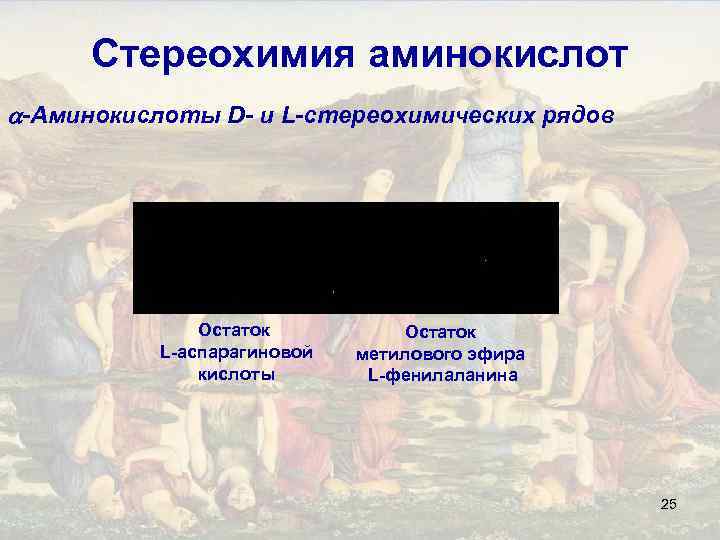 Стереохимия аминокислот -Аминокислоты D- и L-стереохимических рядов Остаток L-аспарагиновой кислоты Остаток метилового эфира L-фенилаланина