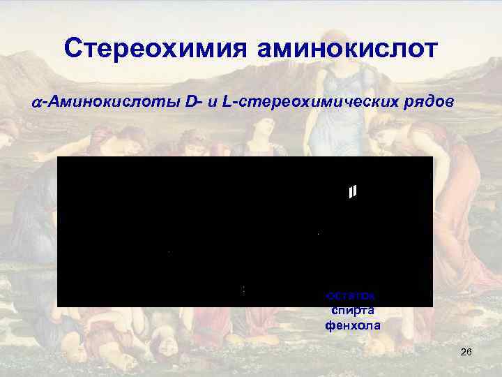 Стереохимия аминокислот -Аминокислоты D- и L-стереохимических рядов остаток спирта фенхола 26 