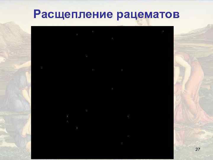 Расщепление рацематов 27 