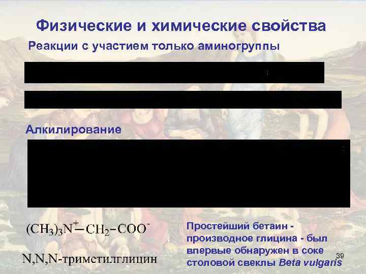 Физические и химические свойства Реакции с участием только аминогруппы Алкилирование Простейший бетаин производное глицина