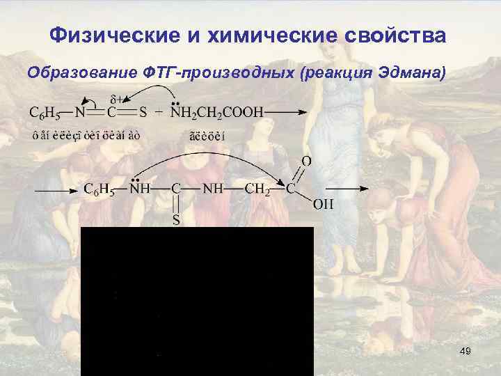 Физические и химические свойства Образование ФТГ-производных (реакция Эдмана) 49 
