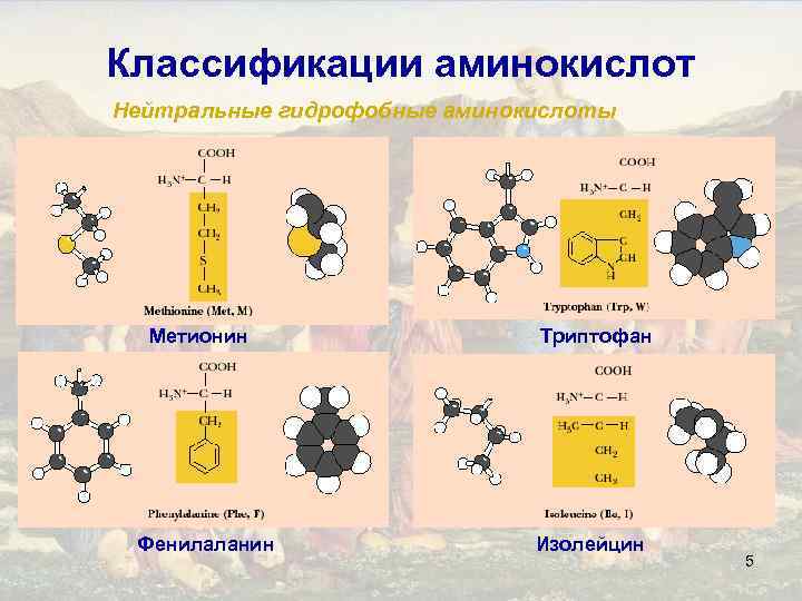 Классификации аминокислот Нейтральные гидрофобные аминокислоты Метионин Фенилаланин Триптофан Изолейцин 5 