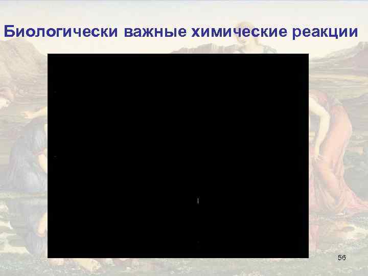 Биологически важные химические реакции 56 