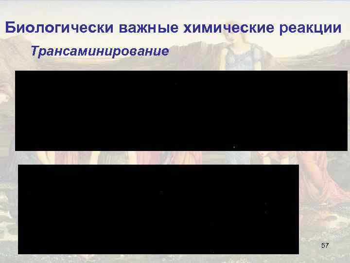 Биологически важные химические реакции Трансаминирование 57 