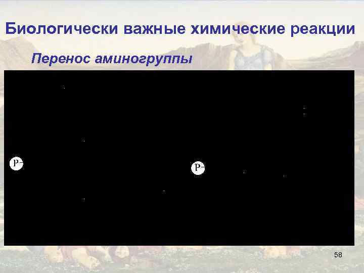 Биологически важные химические реакции Перенос аминогруппы 58 