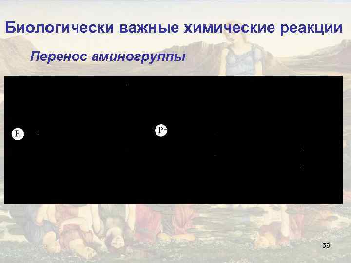 Биологически важные химические реакции Перенос аминогруппы 59 