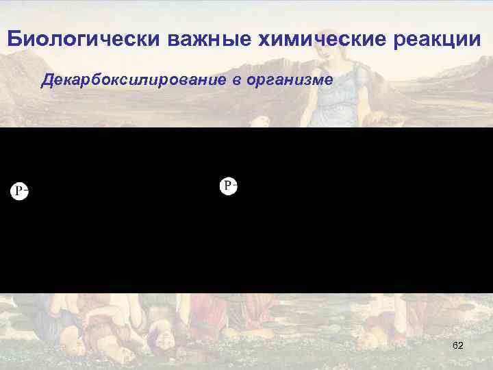 Биологически важные химические реакции Декарбоксилирование в организме 62 