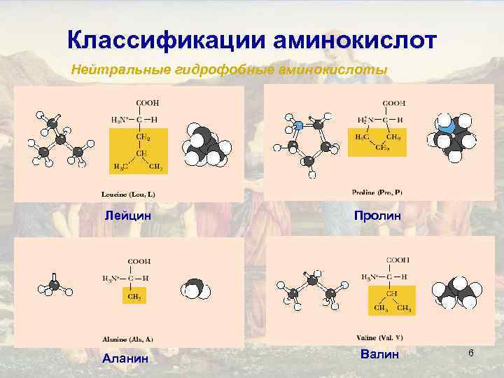 Классификации аминокислот Нейтральные гидрофобные аминокислоты Лейцин Пролин Аланин Валин 6 