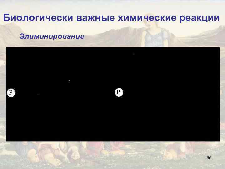 Биологически важные химические реакции Элиминирование 66 