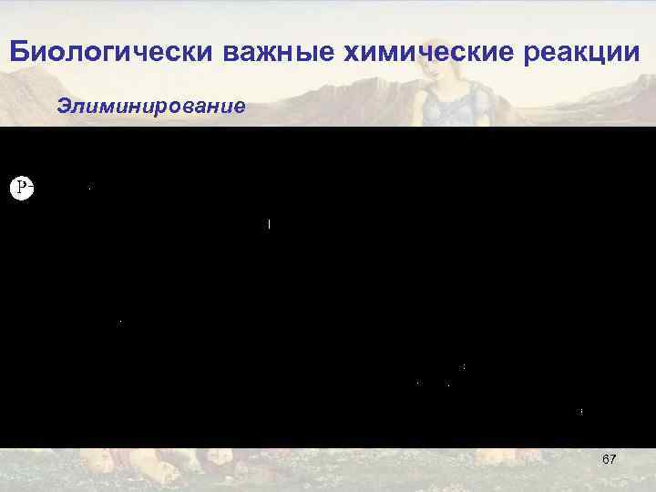 Биологически важные химические реакции Элиминирование 67 