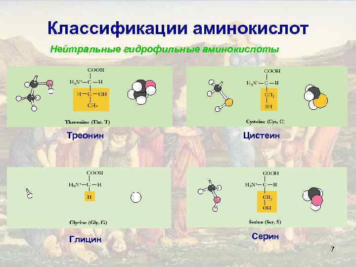 Классификации аминокислот Нейтральные гидрофильные аминокислоты Треонин Цистеин Глицин Серин 7 