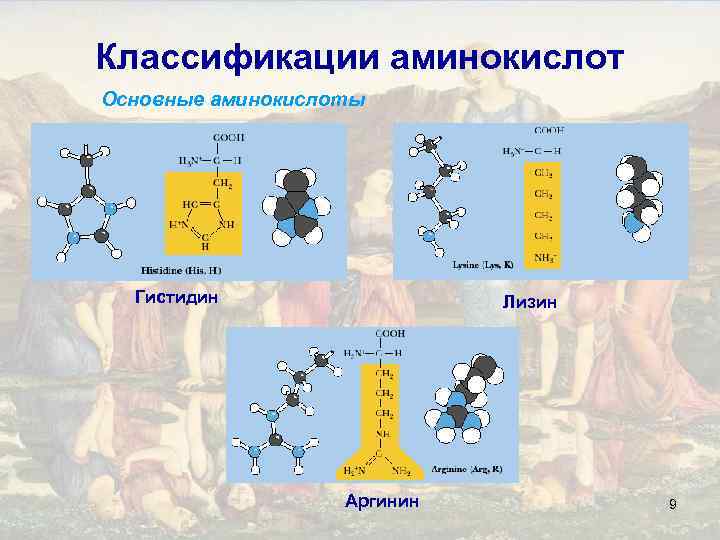 Классификации аминокислот Основные аминокислоты Гистидин Лизин Аргинин 9 