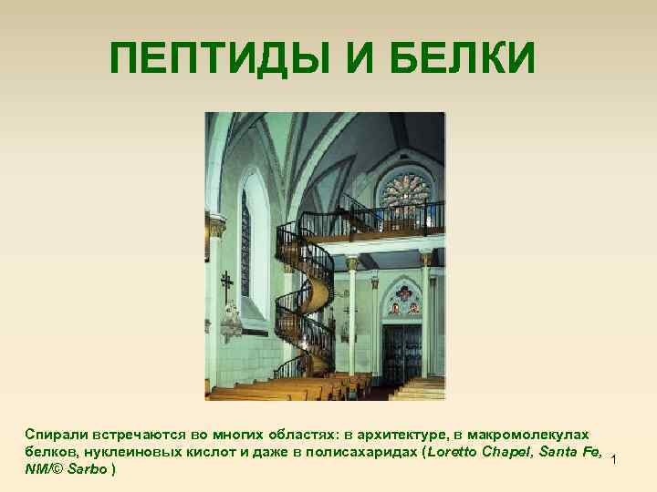 ПЕПТИДЫ И БЕЛКИ Спирали встречаются во многих областях: в архитектуре, в макромолекулах белков, нуклеиновых
