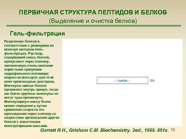 ПЕРВИЧНАЯ СТРУКТУРА ПЕПТИДОВ И БЕЛКОВ (Выделение и очистка белков) Гель-фильтрация Разделение белков в соответствии
