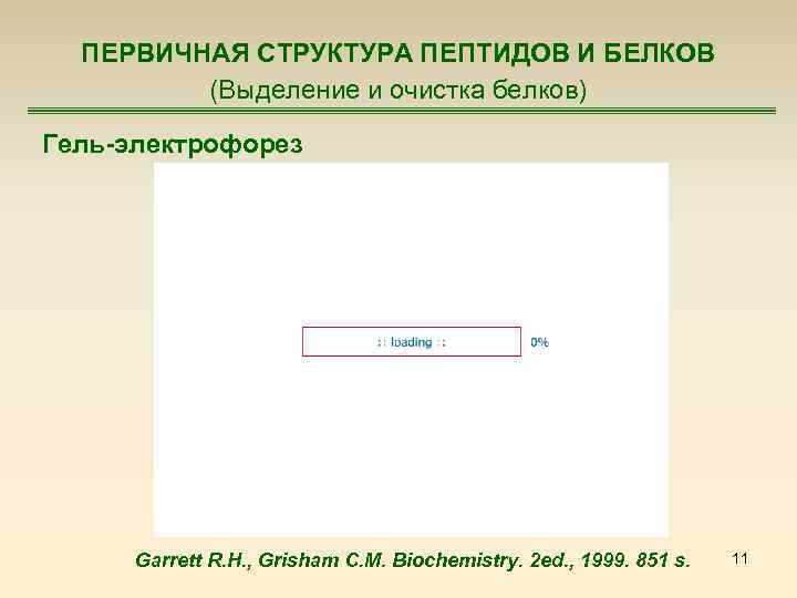 ПЕРВИЧНАЯ СТРУКТУРА ПЕПТИДОВ И БЕЛКОВ (Выделение и очистка белков) Гель-электрофорез Garrett R. H. ,