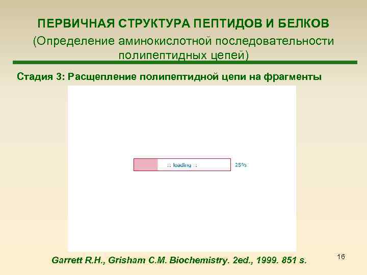  ПЕРВИЧНАЯ СТРУКТУРА ПЕПТИДОВ И БЕЛКОВ (Определение аминокислотной последовательности полипептидных цепей) Стадия 3: Расщепление