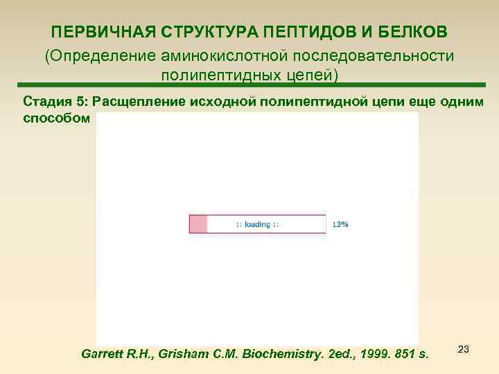  ПЕРВИЧНАЯ СТРУКТУРА ПЕПТИДОВ И БЕЛКОВ (Определение аминокислотной последовательности полипептидных цепей) Стадия 5: Расщепление