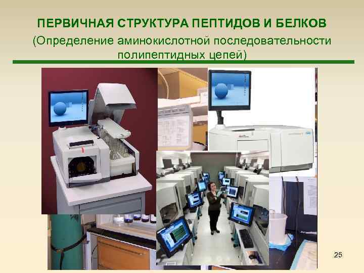  ПЕРВИЧНАЯ СТРУКТУРА ПЕПТИДОВ И БЕЛКОВ (Определение аминокислотной последовательности полипептидных цепей) 25 