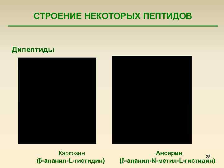 СТРОЕНИЕ НЕКОТОРЫХ ПЕПТИДОВ Дипептиды Каркозин ( -аланил-L-гистидин) Ансерин 28 ( -аланил-N-метил-L-гистидин) 