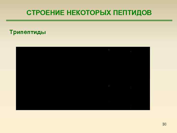 СТРОЕНИЕ НЕКОТОРЫХ ПЕПТИДОВ Трипептиды 30 