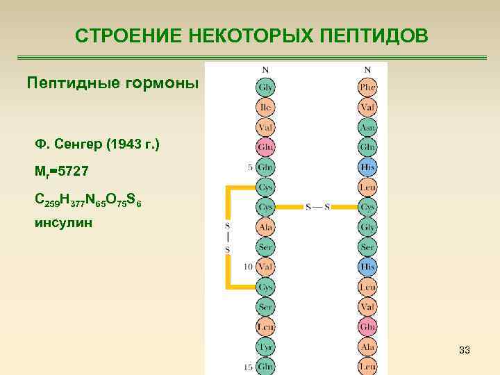 СТРОЕНИЕ НЕКОТОРЫХ ПЕПТИДОВ Пептидные гормоны Ф. Сенгер (1943 г. ) Mr=5727 С 259 Н