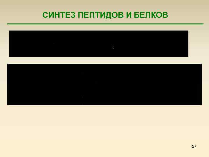 СИНТЕЗ ПЕПТИДОВ И БЕЛКОВ 37 