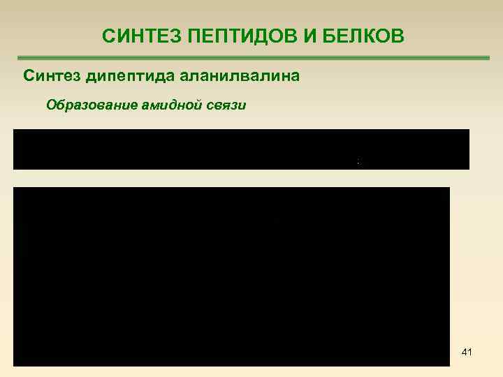 СИНТЕЗ ПЕПТИДОВ И БЕЛКОВ Синтез дипептида аланилвалина Образование амидной связи 41 