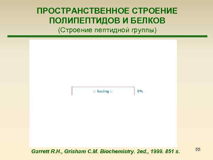 ПРОСТРАНСТВЕННОЕ СТРОЕНИЕ ПОЛИПЕПТИДОВ И БЕЛКОВ (Строение пептидной группы) Garrett R. H. , Grisham C.