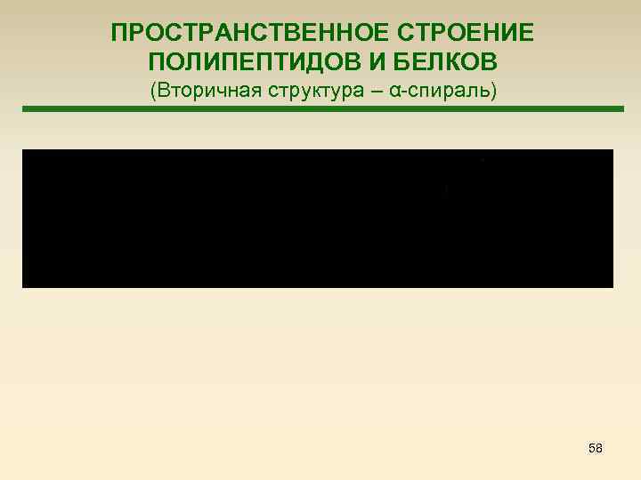 ПРОСТРАНСТВЕННОЕ СТРОЕНИЕ ПОЛИПЕПТИДОВ И БЕЛКОВ (Вторичная структура – α-спираль) 58 