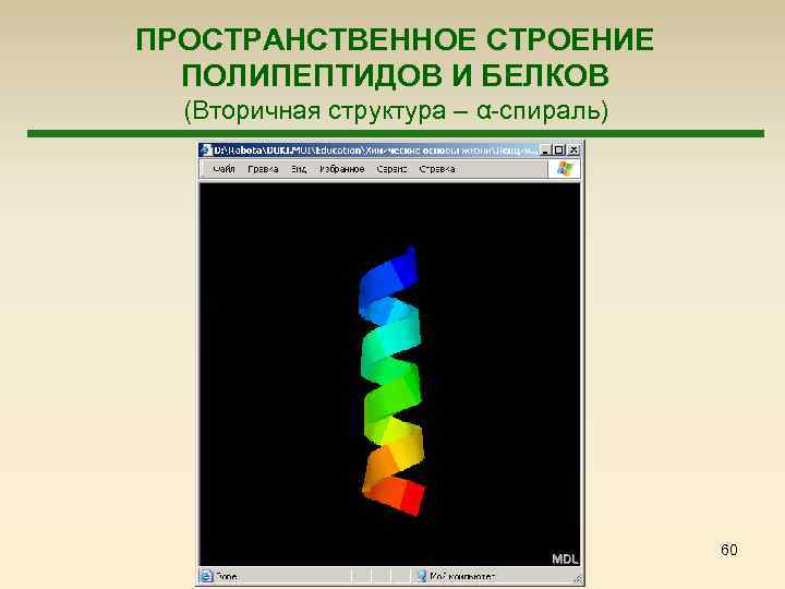 ПРОСТРАНСТВЕННОЕ СТРОЕНИЕ ПОЛИПЕПТИДОВ И БЕЛКОВ (Вторичная структура – α-спираль) 60 