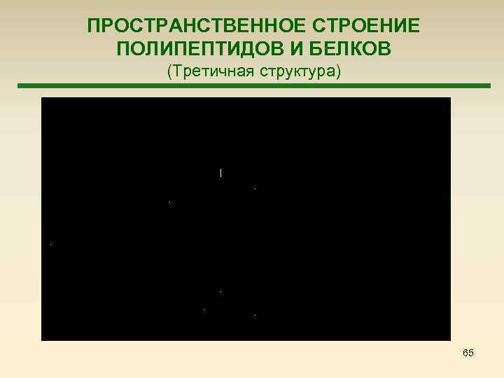 ПРОСТРАНСТВЕННОЕ СТРОЕНИЕ ПОЛИПЕПТИДОВ И БЕЛКОВ (Третичная структура) 65 