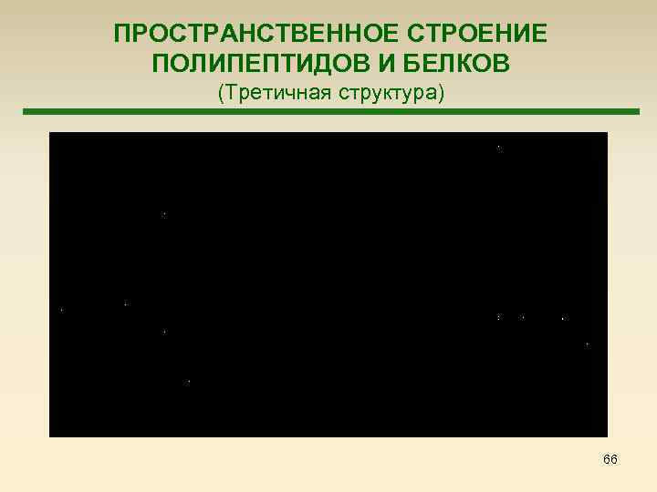 ПРОСТРАНСТВЕННОЕ СТРОЕНИЕ ПОЛИПЕПТИДОВ И БЕЛКОВ (Третичная структура) 66 