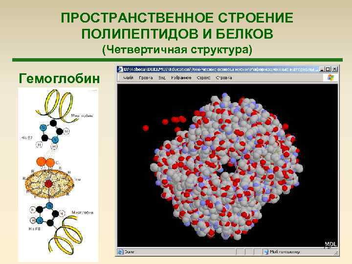 ПРОСТРАНСТВЕННОЕ СТРОЕНИЕ ПОЛИПЕПТИДОВ И БЕЛКОВ (Четвертичная структура) Гемоглобин 79 