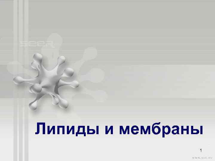 Липиды и мембраны 1 