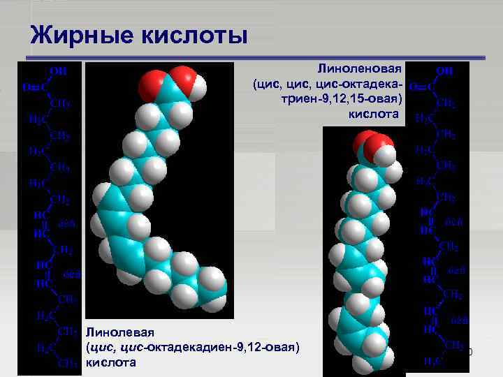 Жирные кислоты Линоленовая (цис, цис октадека триен 9, 12, 15 овая) кислота Линолевая (цис,
